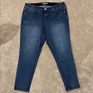 Wit & Wisdom skinny jeans sz 18W